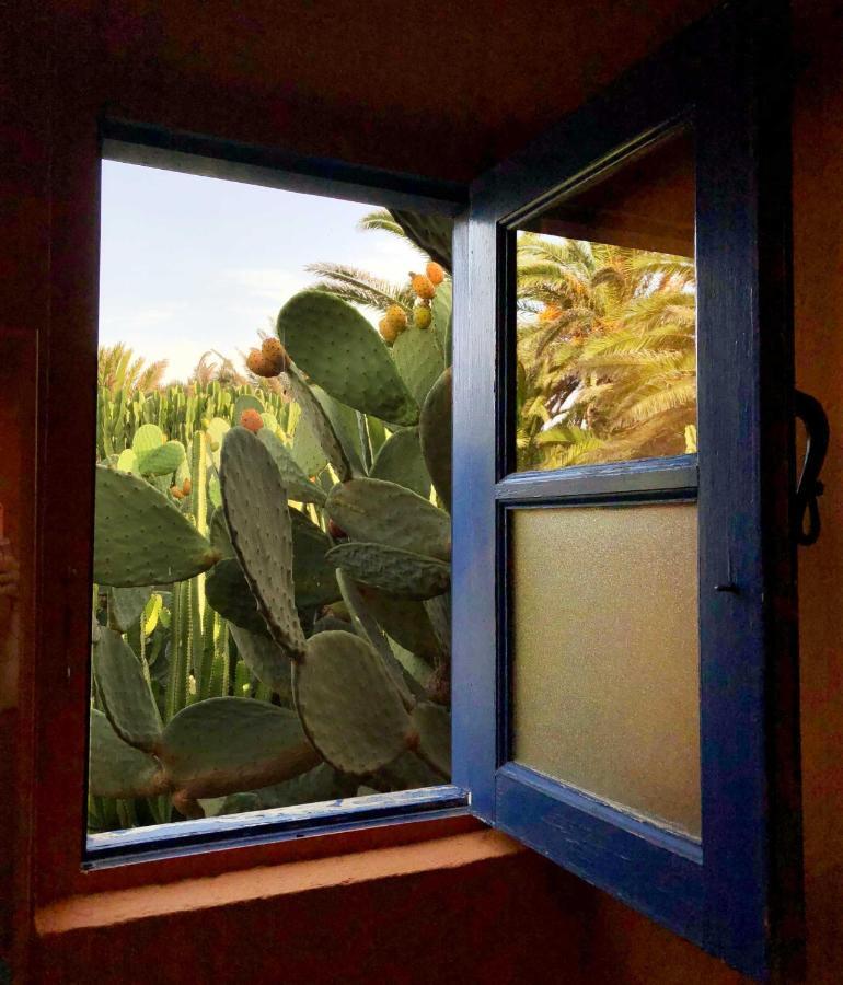 Casa Panama,In Der Finca Mimosa Teguise  Εξωτερικό φωτογραφία